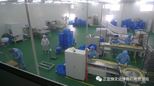融入千年草原文化的企業智慧 ——記正藍旗長虹乳制品廠在第九屆察干伊德大會上的資詢新思維
